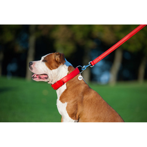 Кожаный поводок для собак WauDog Glamour красного цвета, 122 см