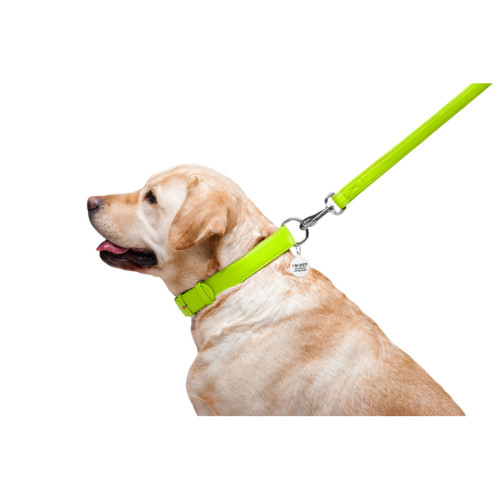 Кожаный поводок для собак WauDog Glamour салатового цвета, 122 см