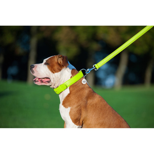 Кожаный поводок для собак WauDog Glamour салатового цвета, 122 см