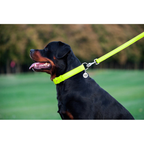Кожаный поводок для собак WauDog Glamour салатового цвета, 122 см