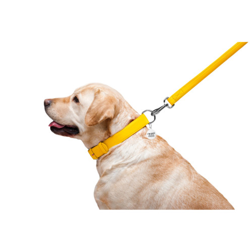 Кожаный поводок для собак WauDog Glamour жёлтого цвета, 122 см