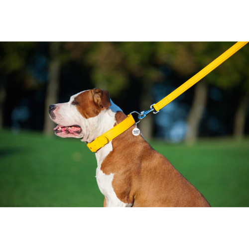 Кожаный поводок для собак WauDog Glamour жёлтого цвета, 122 см