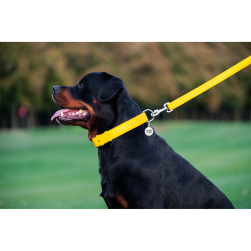 Кожаный поводок для собак WauDog Glamour жёлтого цвета, 122 см