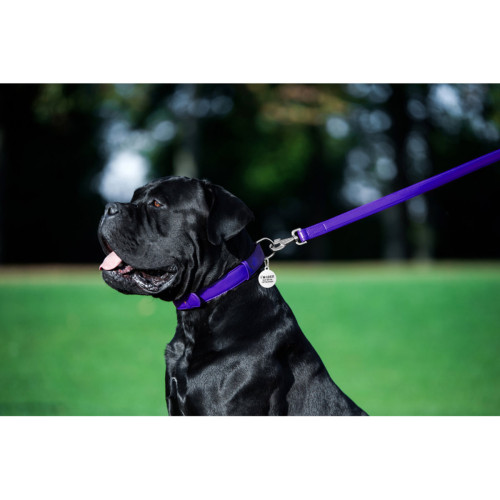 Кожаный поводок для собак WauDog Glamour фиолетового цвета, 122 см