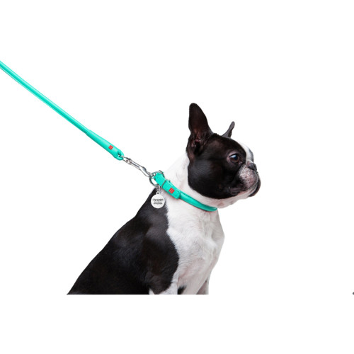 Круглий шкіряний повідець для собак WauDog Glamour ментолового кольору, 122 см