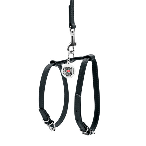 Кожаная шлея WAUDOG Glamour с поводком для котов и мелких собак Черная