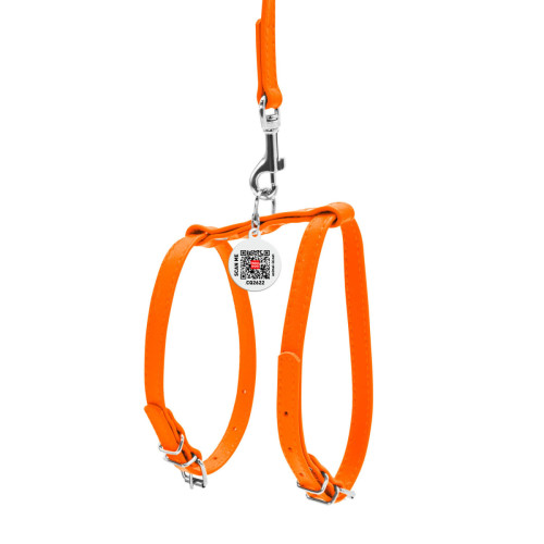 Кожаная шлея WAUDOG Glamour с поводком для котов и мелких собак Оранжевая