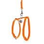 Кожаная шлея WAUDOG Glamour с поводком для котов и мелких собак Оранжевая