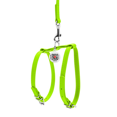 Кожаная шлея WAUDOG Glamour с поводком для котов и мелких собак Лайм