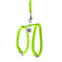 Кожаная шлея WAUDOG Glamour с поводком для котов и мелких собак Лайм