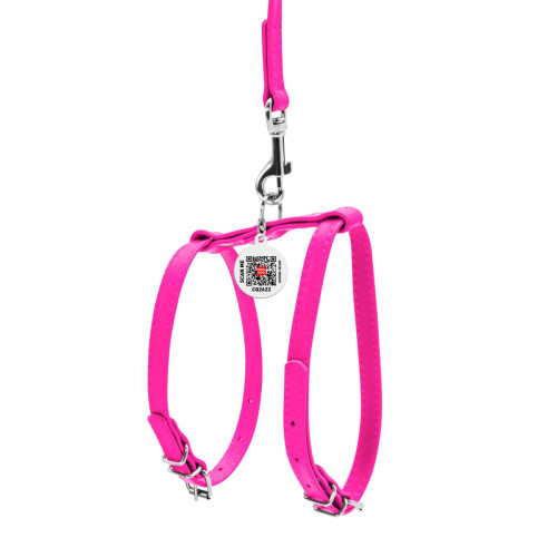Кожаная шлея WAUDOG Glamour с поводком для котов и мелких собак Розовая