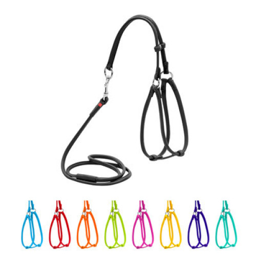 Кругла шкіряна шлея WAUDOG Glamour з повідцем для котів і дрібних собак Чорна