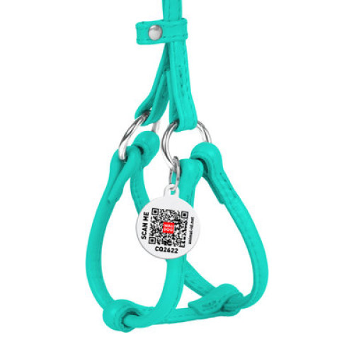 Кругла шкіряна шлея WAUDOG Glamour з повідцем для котів і дрібних собак Ментолова