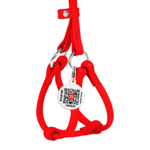 Кругла шкіряна шлея WAUDOG Glamour з повідцем для котів і дрібних собак Червона