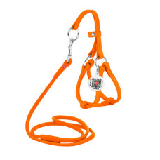 Кругла шкіряна шлея WAUDOG Glamour з повідцем для котів і дрібних собак Помаранчева