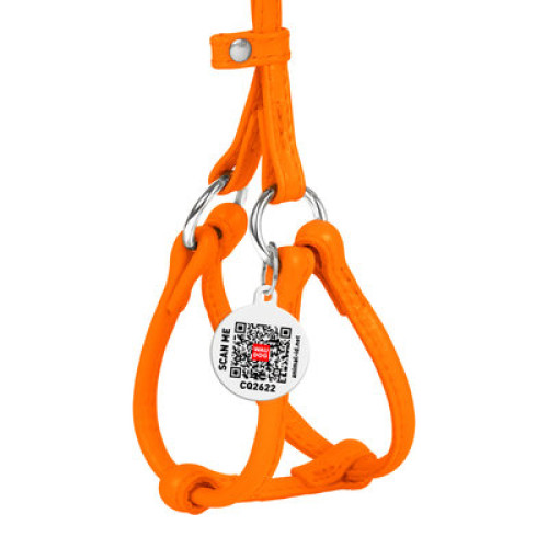 Кругла шкіряна шлея WAUDOG Glamour з повідцем для котів і дрібних собак Помаранчева