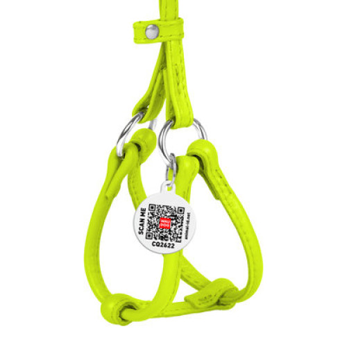 Кругла шкіряна шлея WAUDOG Glamour з повідцем для котів і дрібних собак Салатова