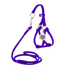 Кругла шкіряна шлея WAUDOG Glamour з повідцем для котів і дрібних собак Фіолетова