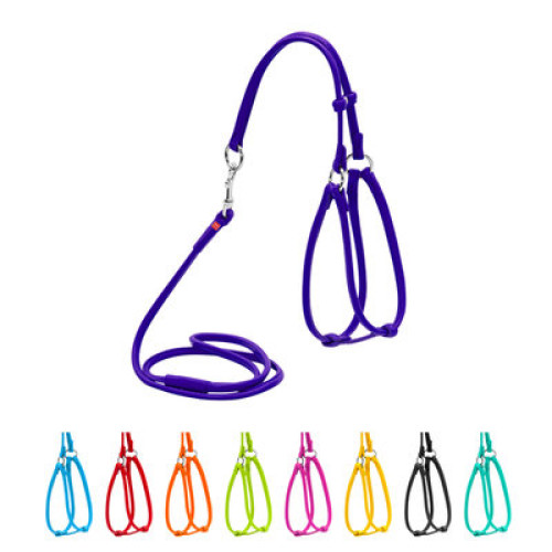 Кругла шкіряна шлея WAUDOG Glamour з повідцем для котів і дрібних собак Фіолетова