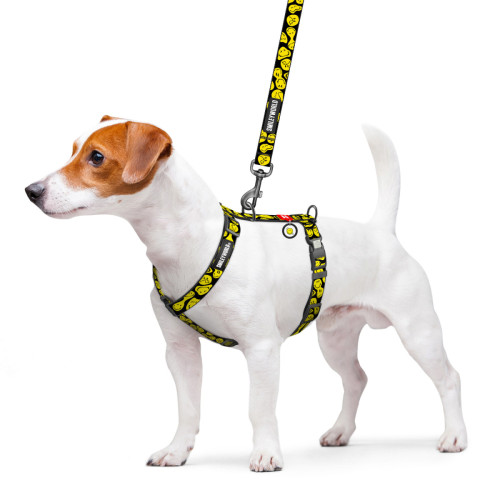 Шлея для собак анатомическая WAUDOG Nylon "Смайлы на черном" с QR-паспортом