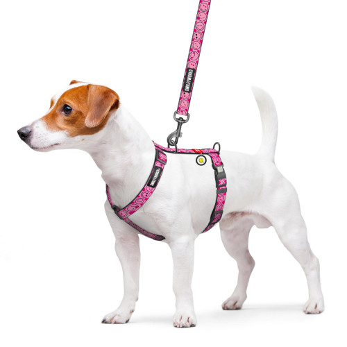 Шлея для собак анатомическая WAUDOG Nylon "Смайлы на розовом" с QR-паспортом