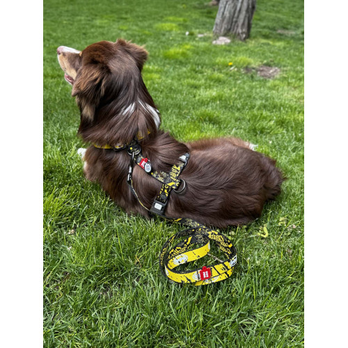 Шлея для собак светоотражающая анатомическая WAUDOG Nylon "Бэтмен Эскиз" с QR-паспортом