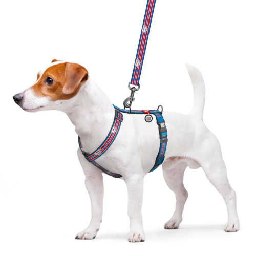 Шлея для собак светоотражающая анатомическая WAUDOG Nylon "Супермен Ретро" с QR-паспортом