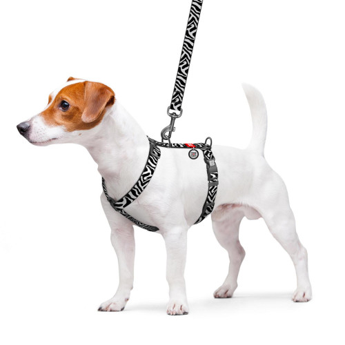 Шлея анатомическая WAUDOG Nylon с рисунком Зебра (с двумя фастексами)