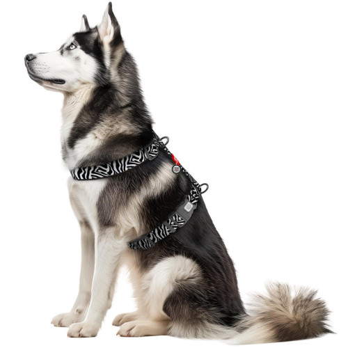 Шлея анатомическая WAUDOG Nylon с рисунком Зебра (с двумя фастексами)