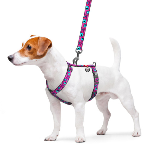 Шлея для собак анатомическая WAUDOG Nylon "Глаз монстра" с QR-паспортом