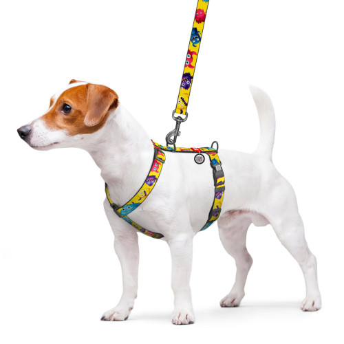 Шлея для собак анатомическая WAUDOG Nylon "Мохнатые монстры" с QR-паспортом