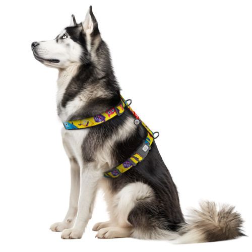 Шлея для собак анатомическая WAUDOG Nylon "Мохнатые монстры" с QR-паспортом