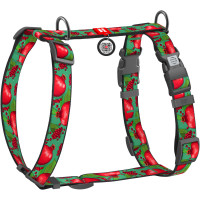 Шлея для собак анатомическая WAUDOG Nylon "Гранаты" с QR-паспортом