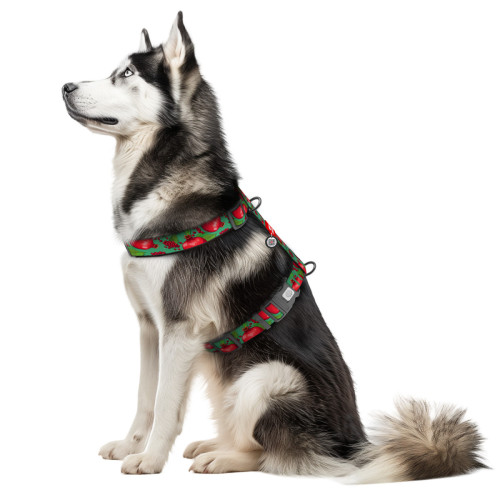 Шлея для собак анатомическая WAUDOG Nylon "Гранаты" с QR-паспортом