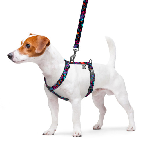 Шлея для собак анатомическая WAUDOG Nylon "Бесконечные миры" с QR-паспортом