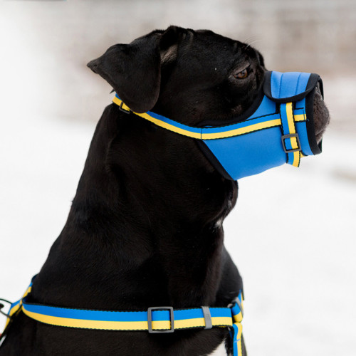 Намордник для собак WAUDOG Nylon Colors of freedom