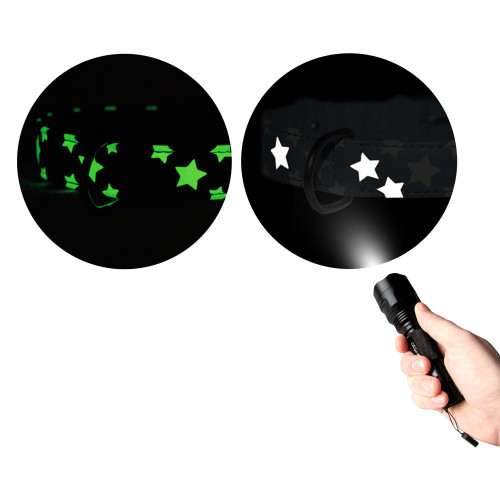 Ошейник для собак кожаный Collar WAUDOG Glamour светонакопительный салатового цвета с QR паспортом