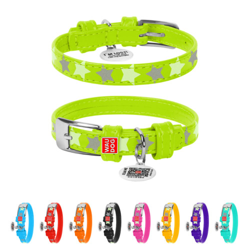 Ошейник для собак кожаный Collar WAUDOG Glamour светонакопительный салатового цвета с QR паспортом