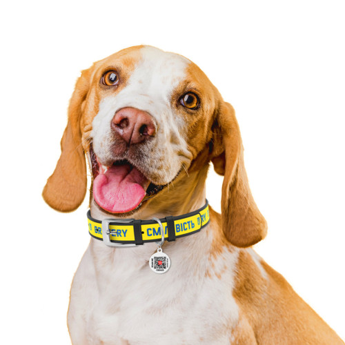 Шкіряний нашийник для собак WAUDOG Design з малюнком "Сміливість", чорна шкіра