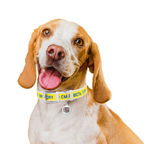 Шкіряний нашийник для собак WAUDOG Design з малюнком "Сміливість", біла шкіра