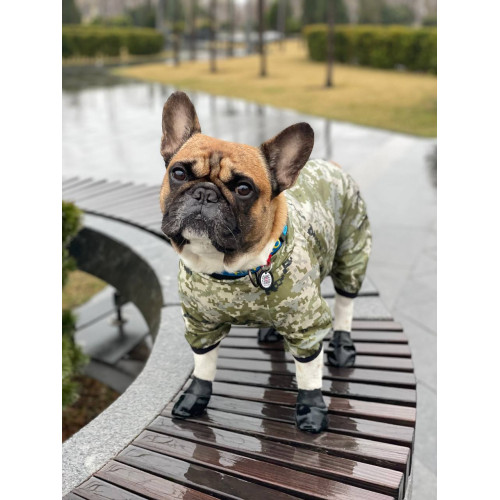 Дождевик-ветровка для собак WAUDOG Clothes с рисунком "Милитари" камуфляж