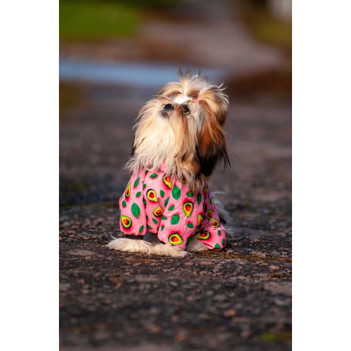 Вітровка для собак WAUDOG Clothes, малюнок "Авокадо на рожевому"