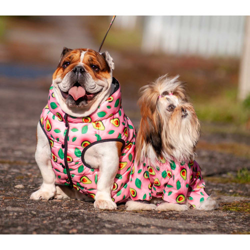 Вітровка для собак WAUDOG Clothes, малюнок "Авокадо на рожевому"