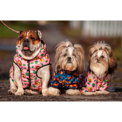 Вітровка для собак WAUDOG Clothes, малюнок "Авокадо на рожевому"