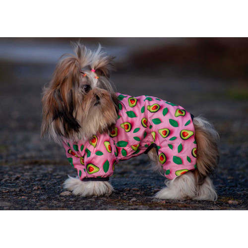 Вітровка для собак WAUDOG Clothes, малюнок "Авокадо на рожевому"