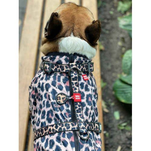 Дощовик-вітровка для собак WAUDOG Clothes Леопард