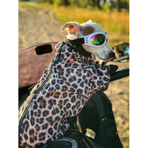 Дощовик-вітровка для собак WAUDOG Clothes Леопард