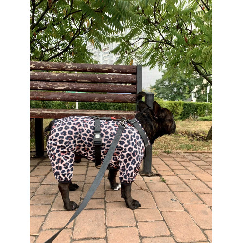 Дощовик-вітровка для собак WAUDOG Clothes Леопард
