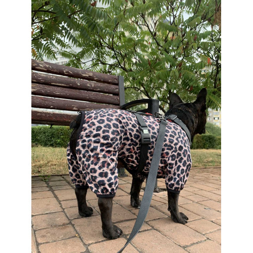 Дощовик-вітровка для собак WAUDOG Clothes Леопард