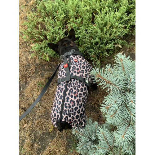 Дощовик-вітровка для собак WAUDOG Clothes Леопард